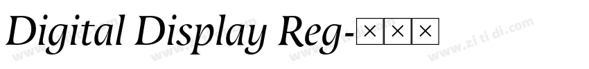 Digital Display Reg字体转换 Digital Display Reg字体转换
